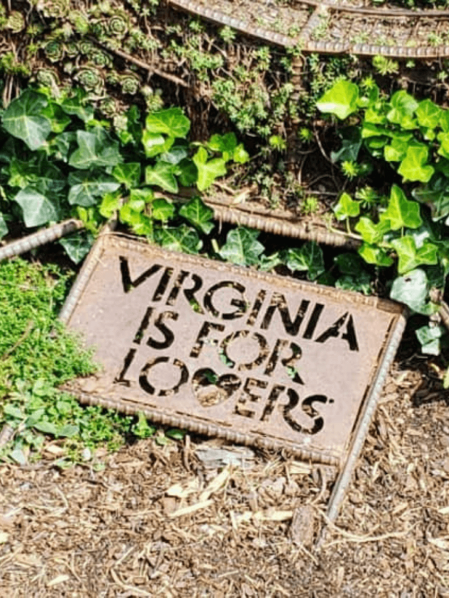 Family-Friendly Wineries in Charlottesville, VA