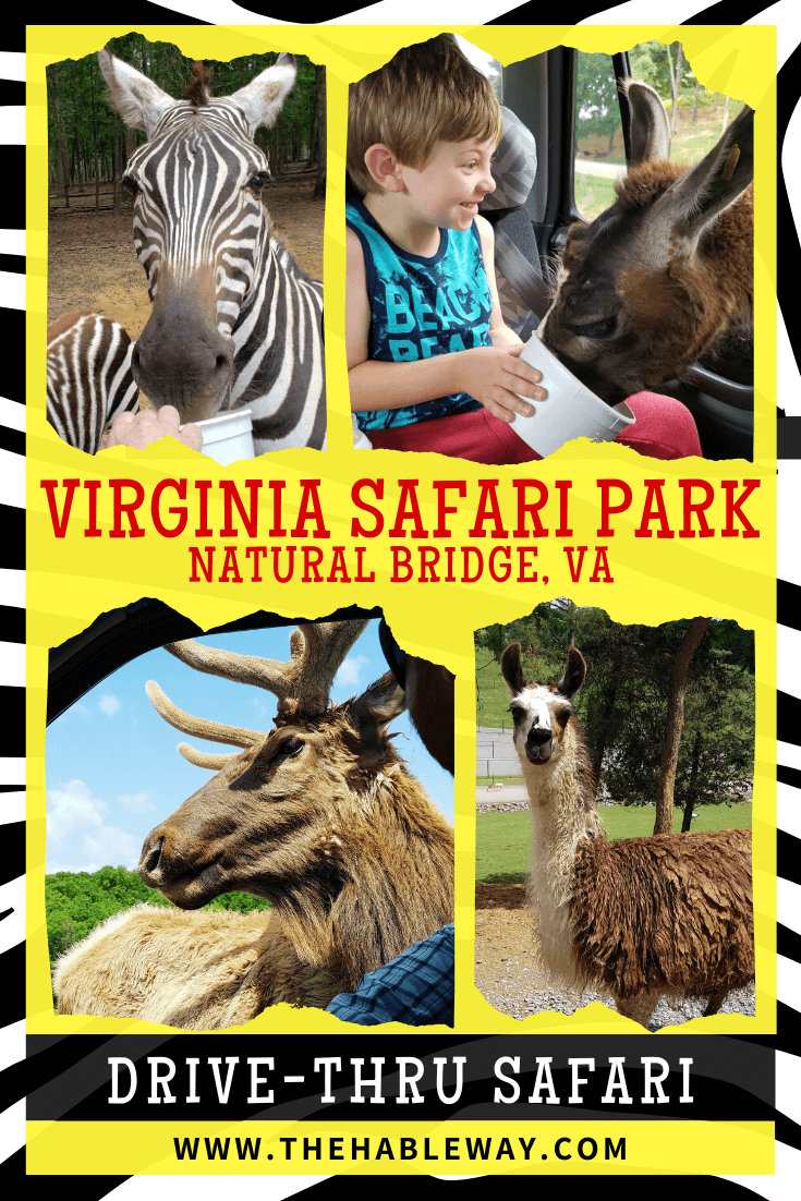 safari park near wytheville va