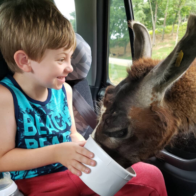 virginia safari park food