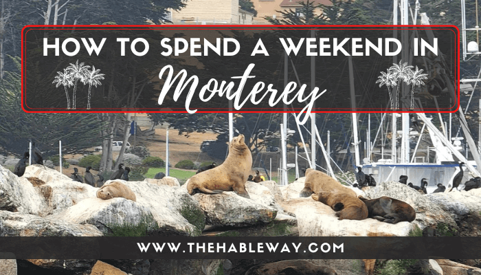 How To Spend A Weekend In Monterey With Kids