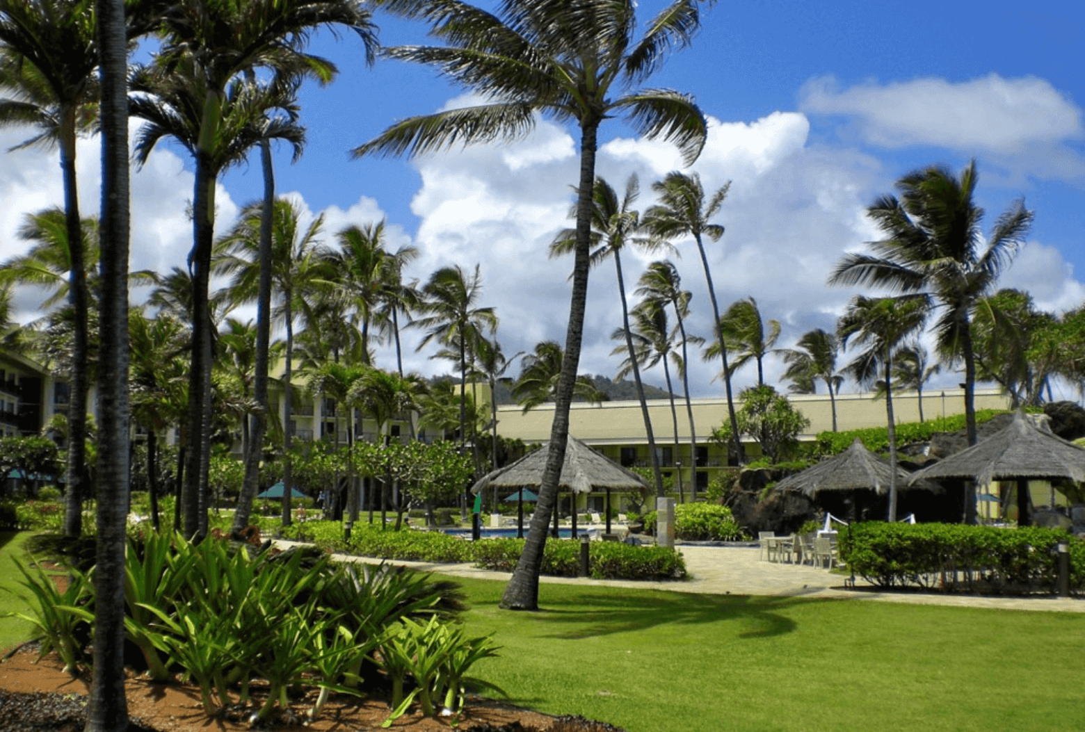 Best of The Big Island With Kids Lodging, Dining, Activities The