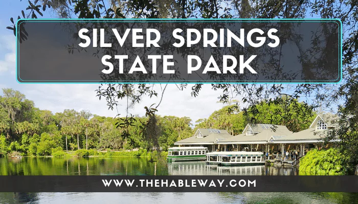 All You Need To Know About Silver Springs State Park, Florida