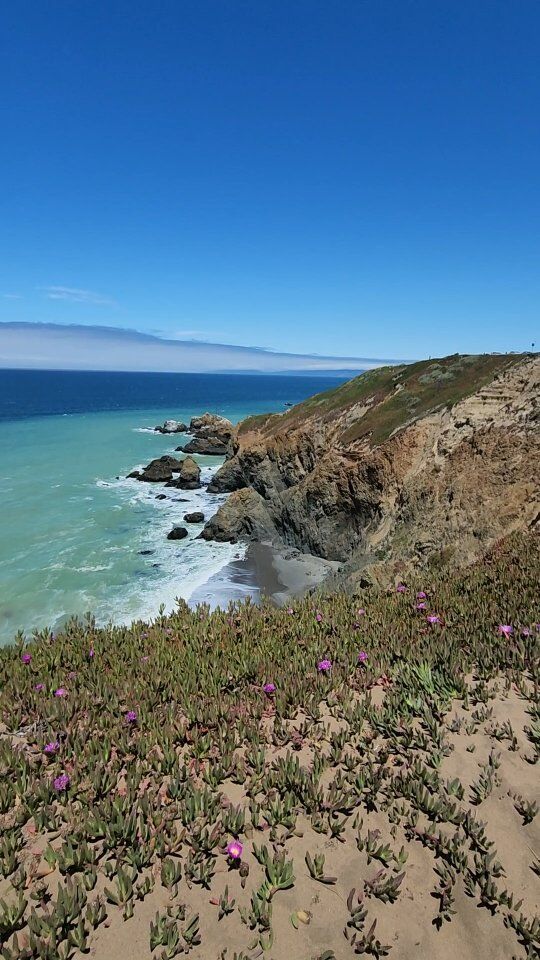 My favorite moments of 2023 in California ❤️